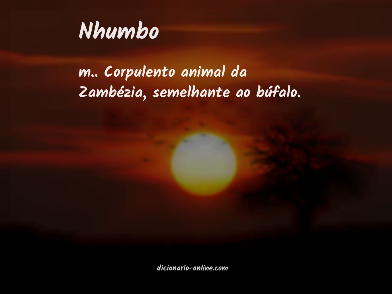 Significado de nhumbo