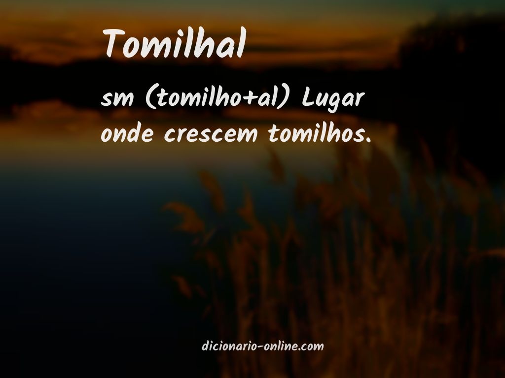 Significado de tomilhal