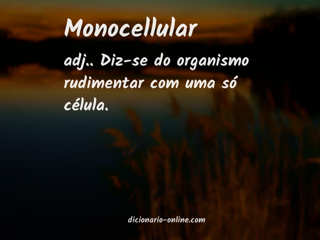 Significado de monocellular
