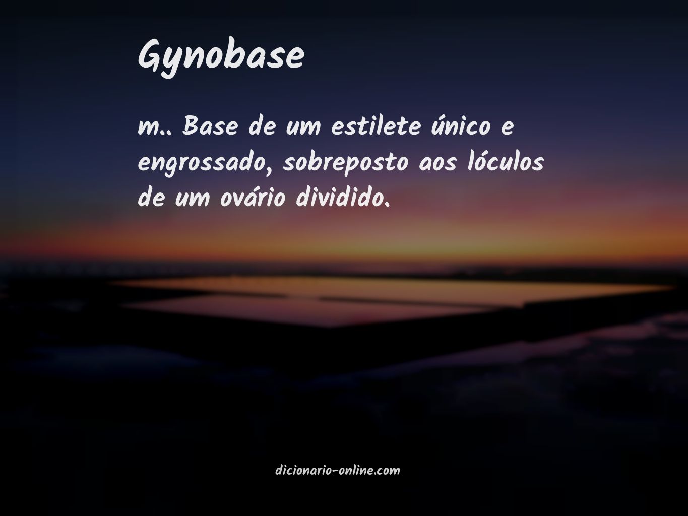 Significado de gynobase