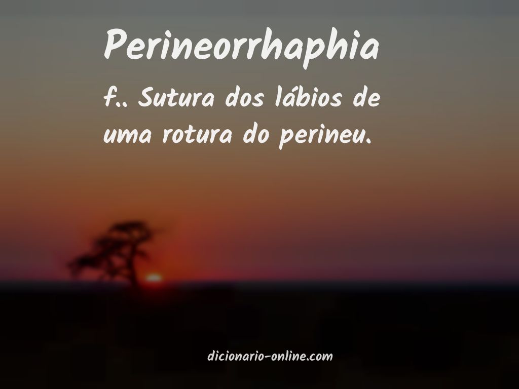 Significado de perineorrhaphia