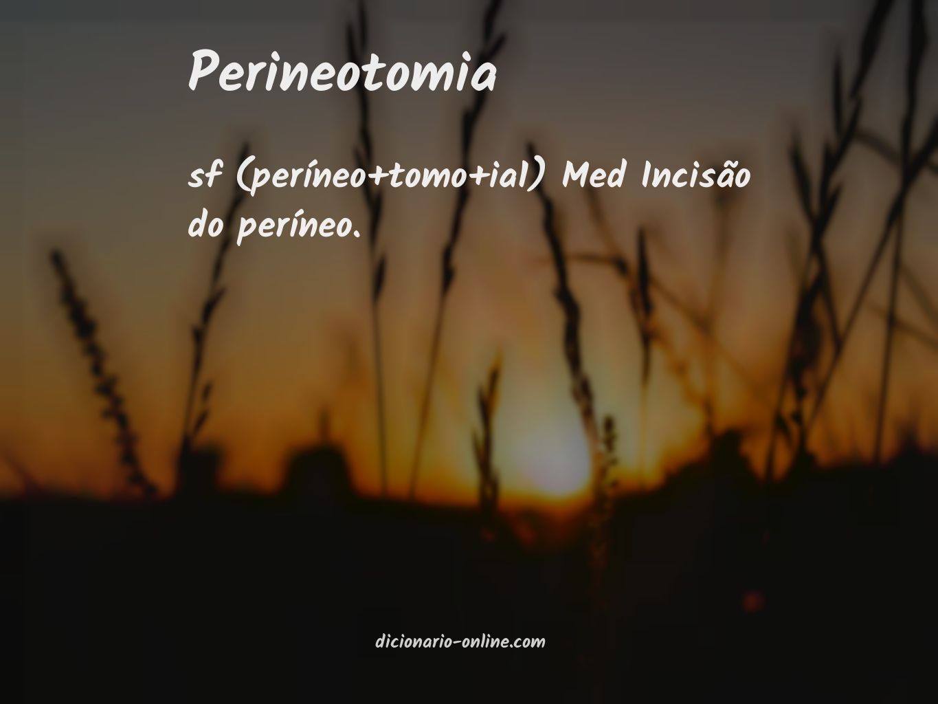 Significado de perineotomia