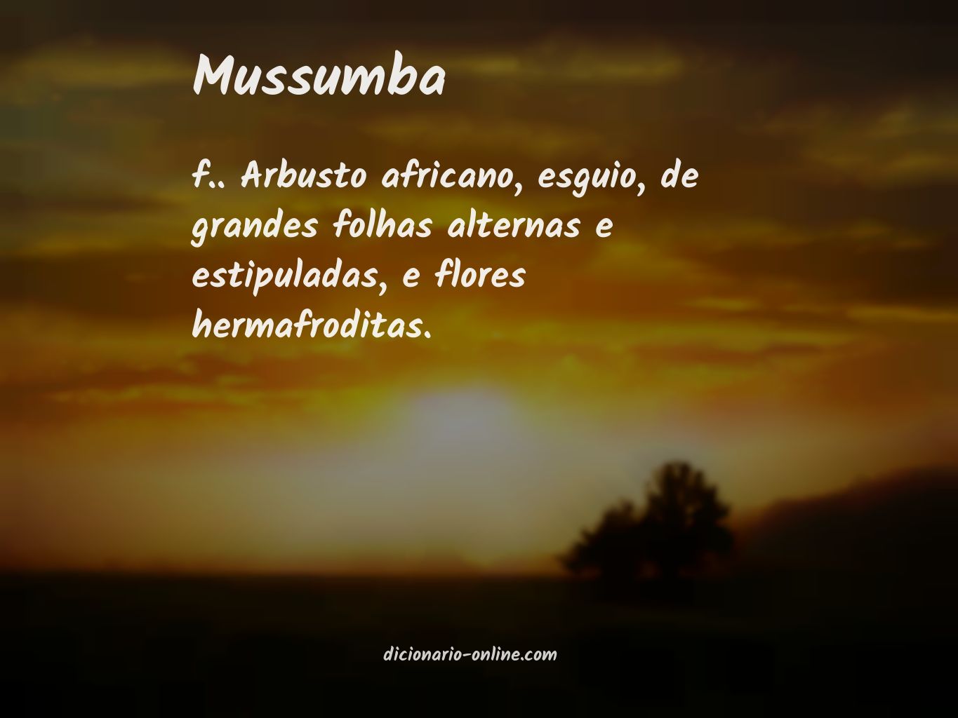 Significado de mussumba