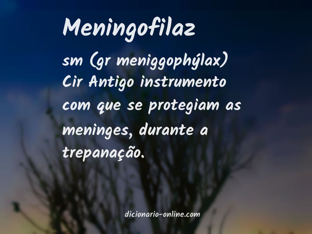 Significado de meningofilaz