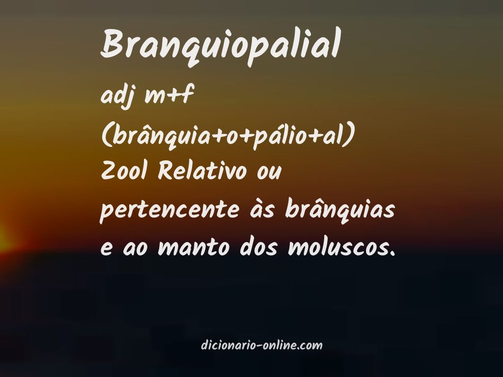 Significado de branquiopalial