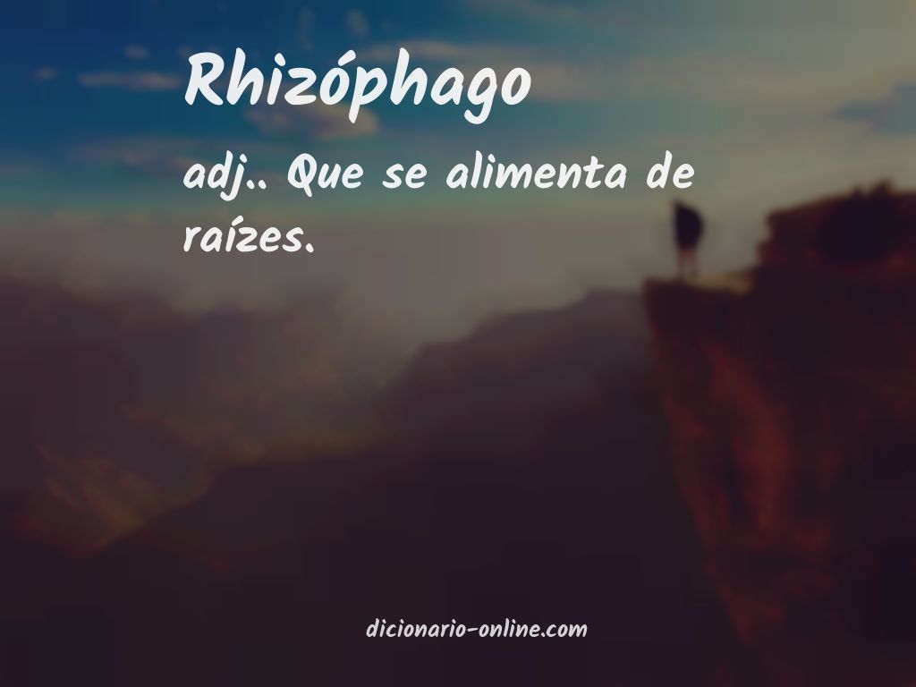 Significado de rhizóphago