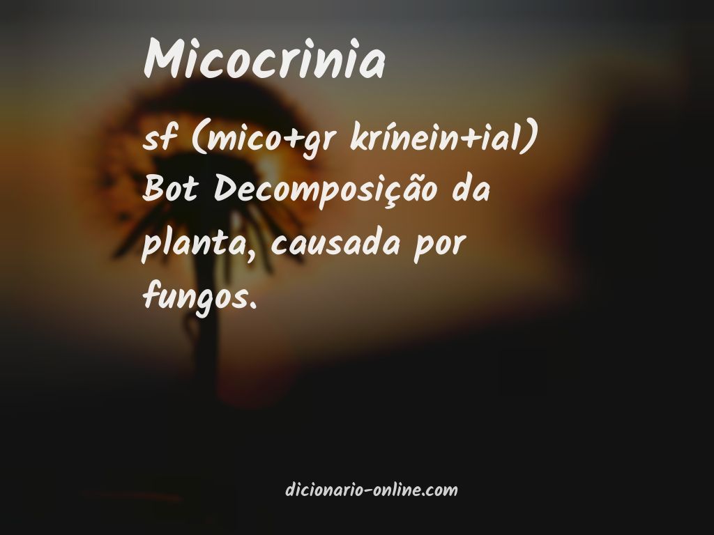 Significado de micocrinia