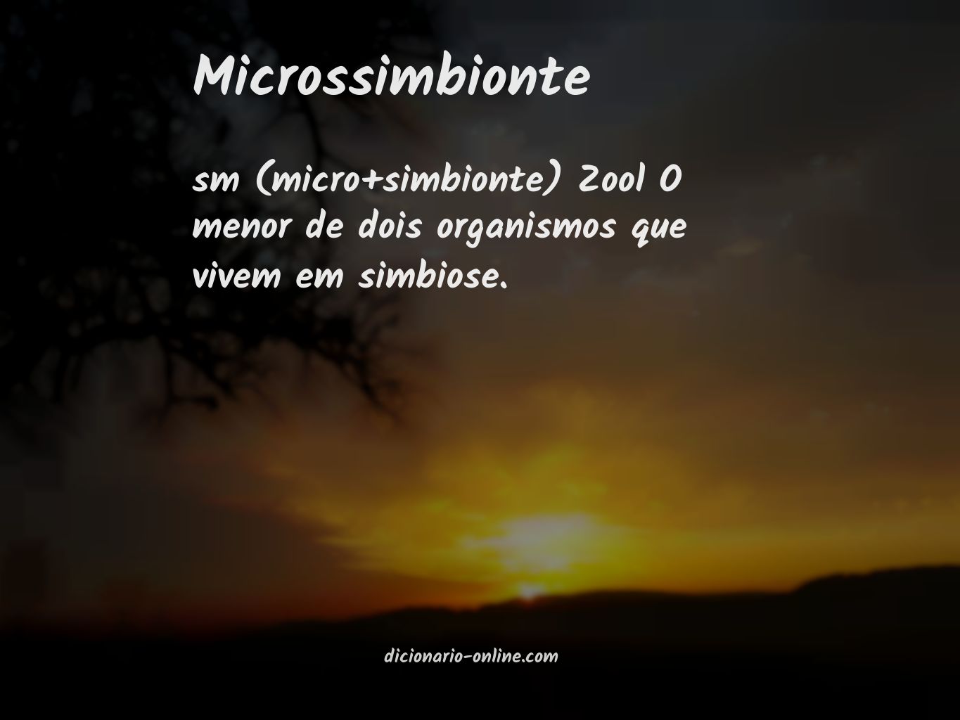 Significado de microssimbionte