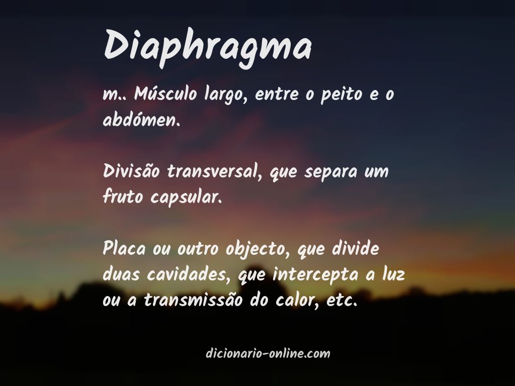 Significado de diaphragma