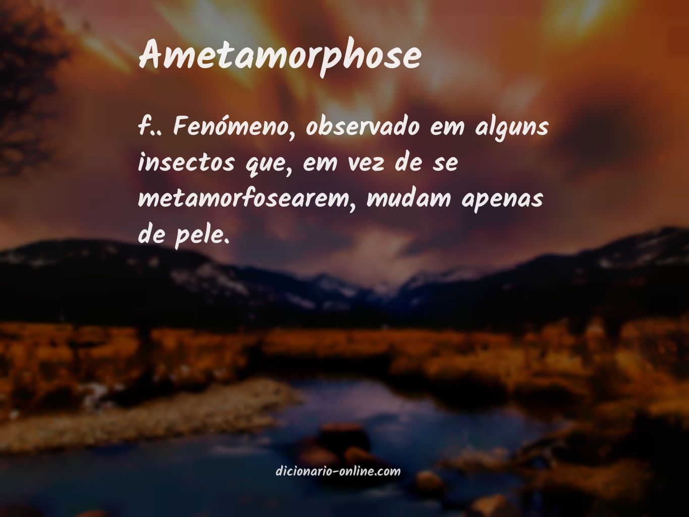 Significado de ametamorphose