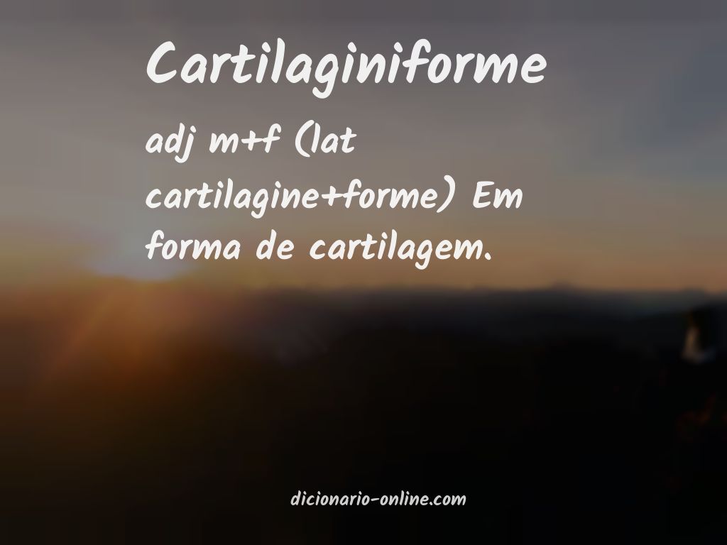 Significado de cartilaginiforme