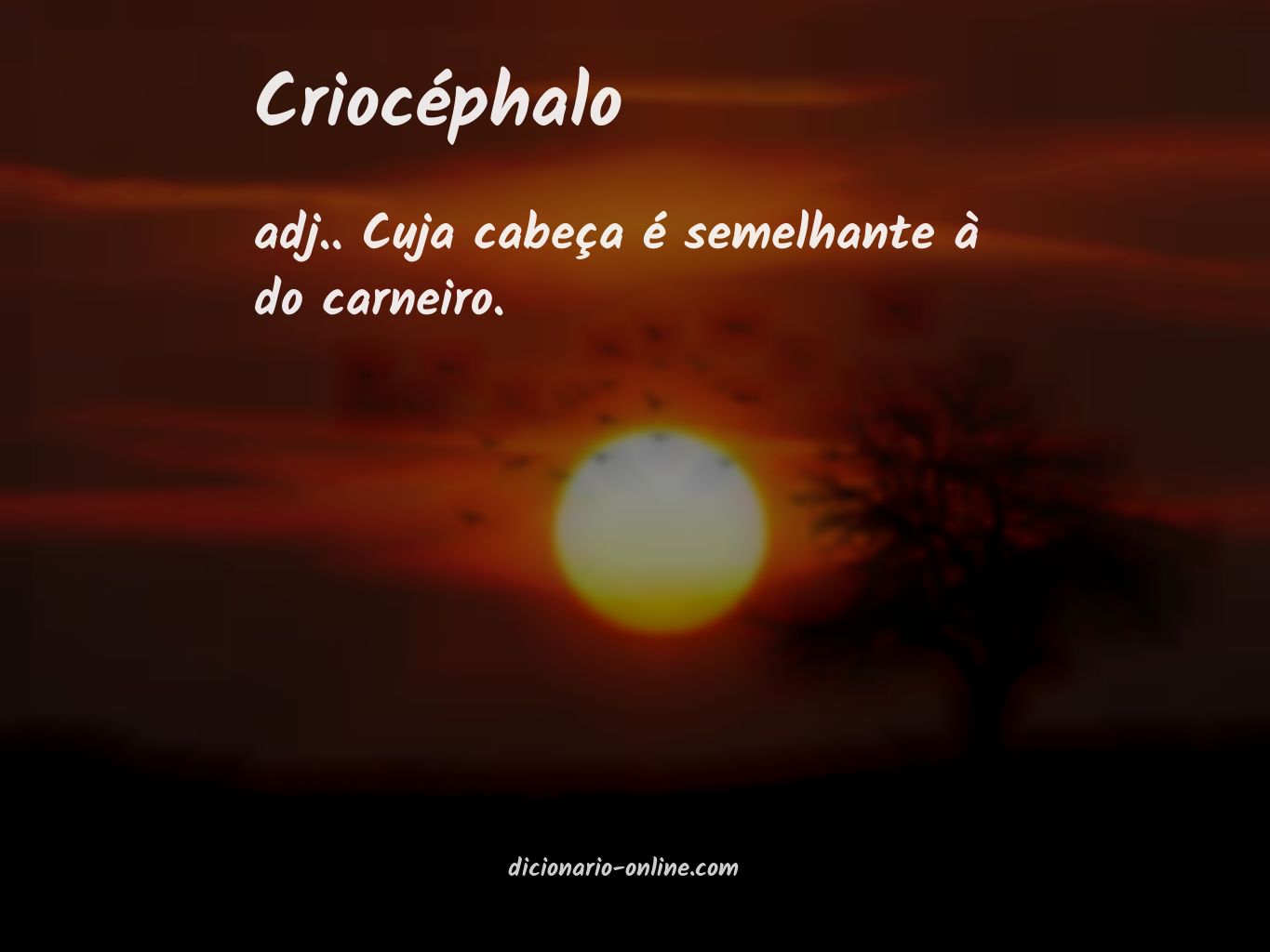 Significado de criocéphalo