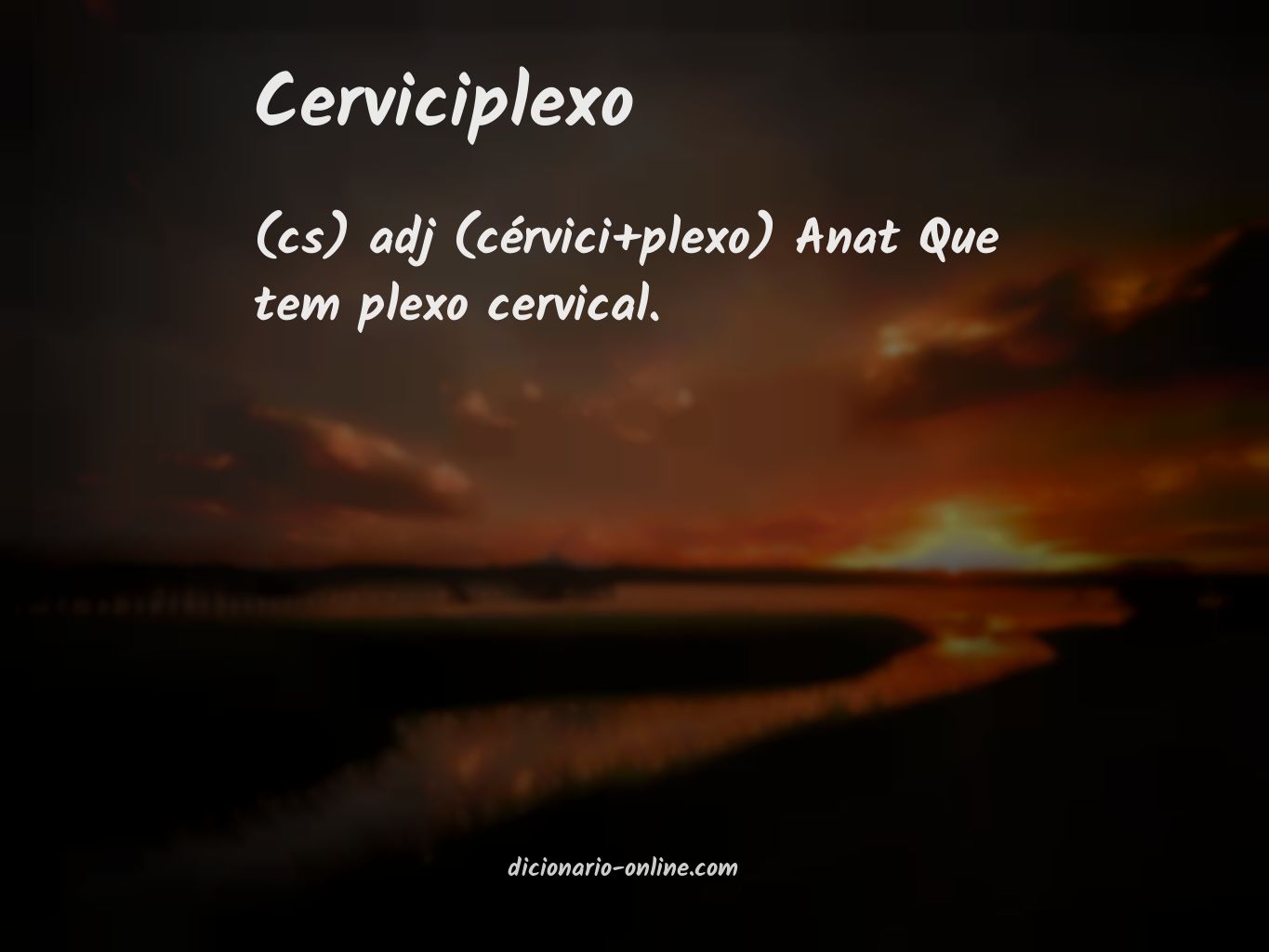 Significado de cerviciplexo