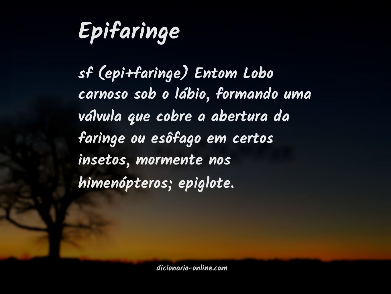 Significado de epifaringe