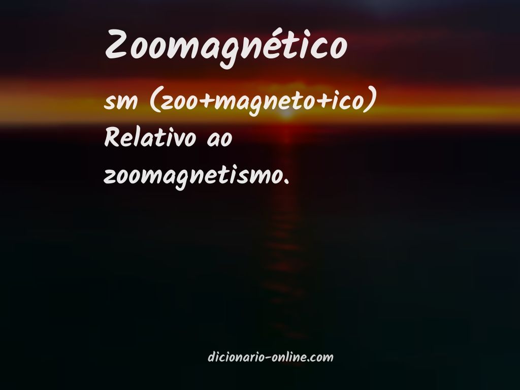Significado de zoomagnético