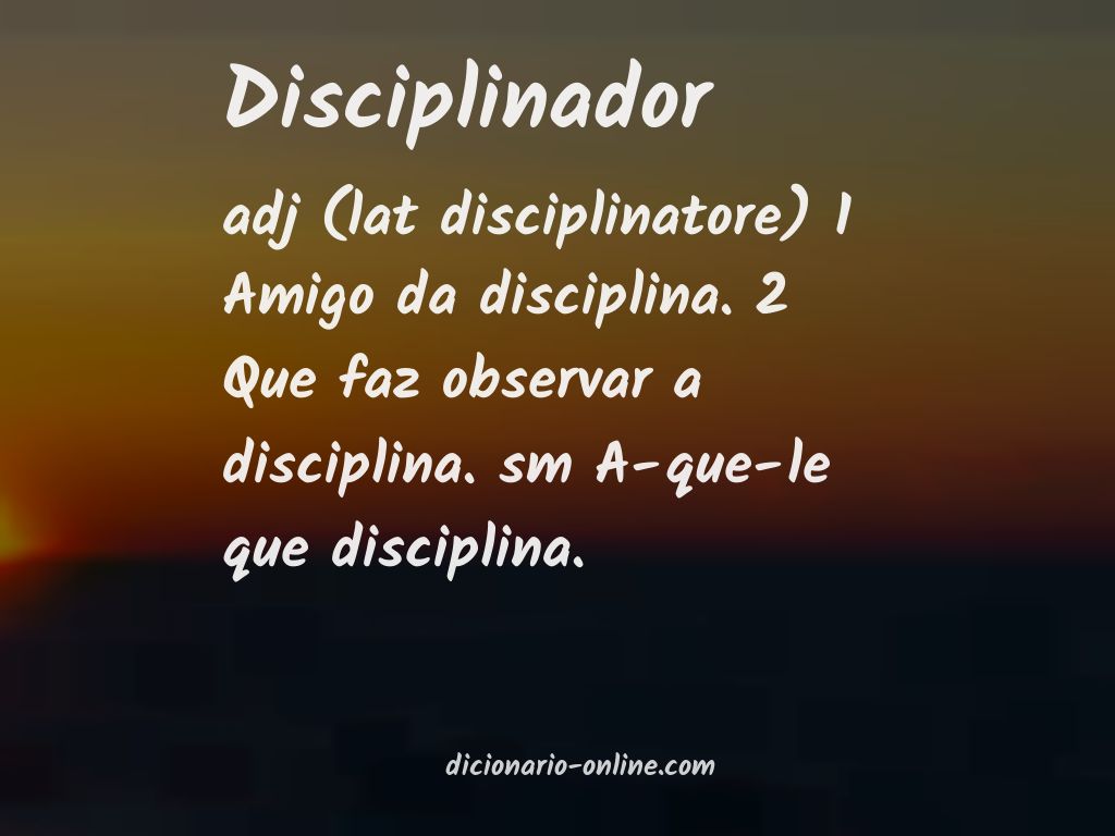Significado de disciplinador