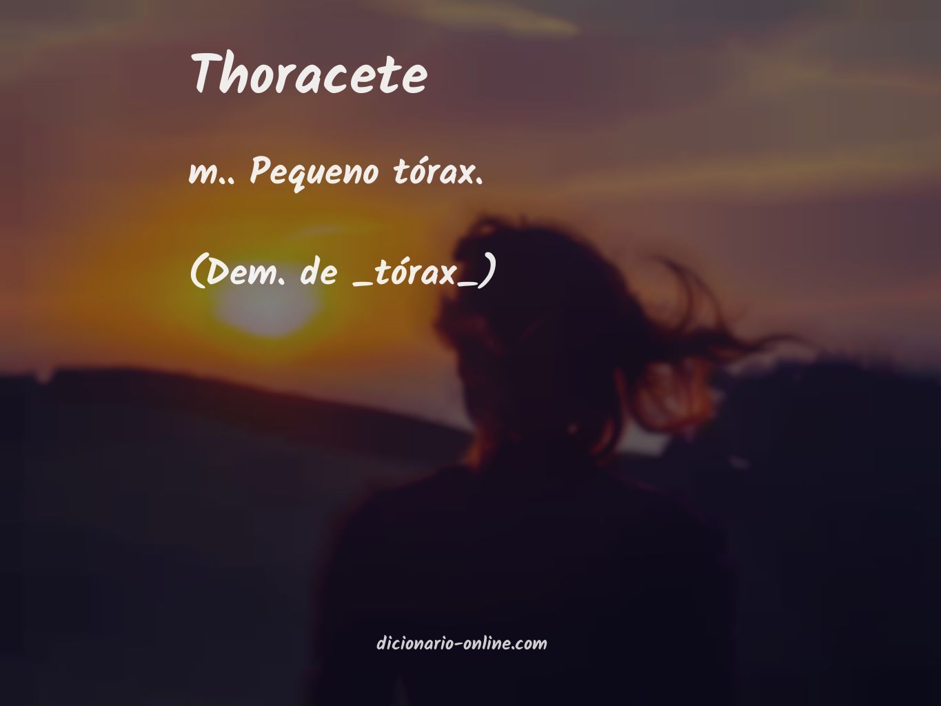 Significado de thoracete