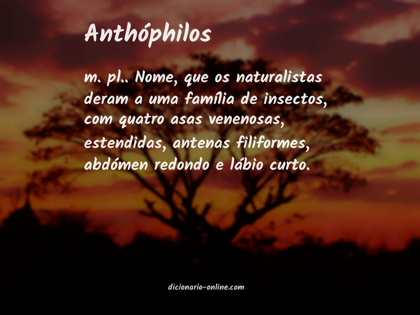 Significado de anthóphilos