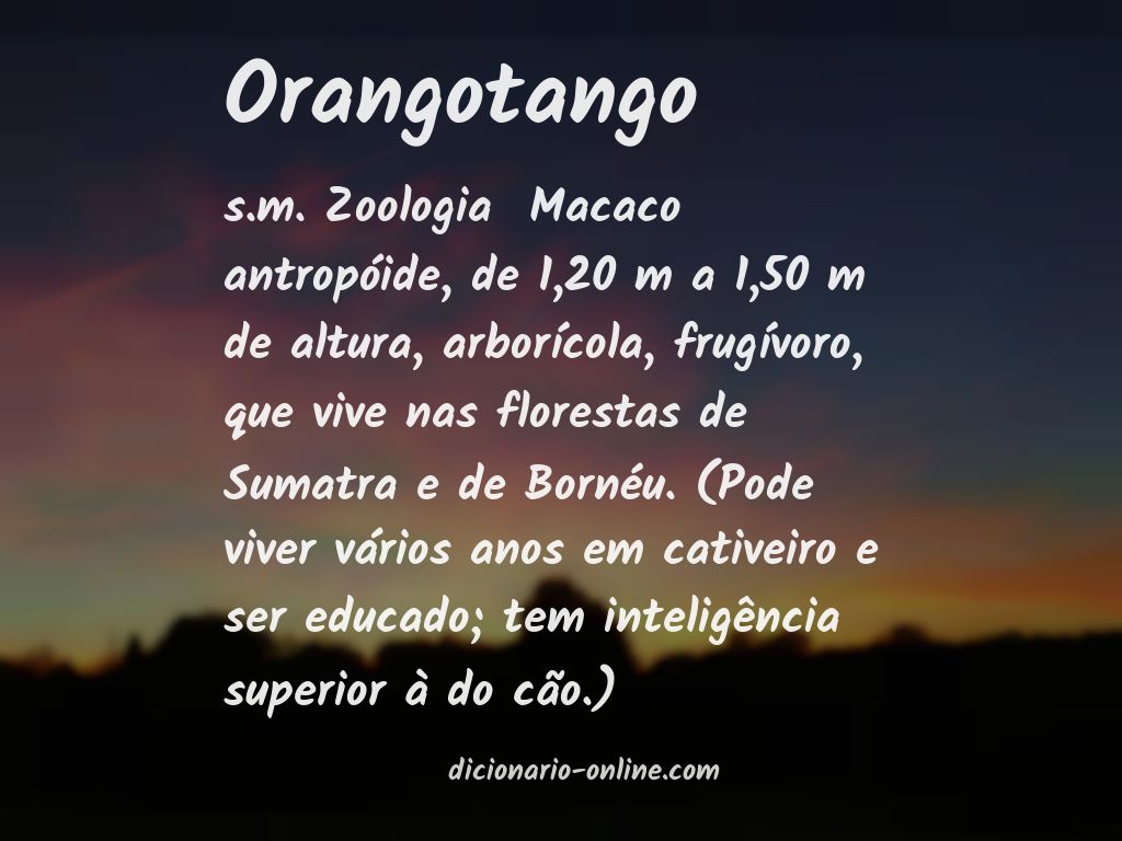Significado de orangotango