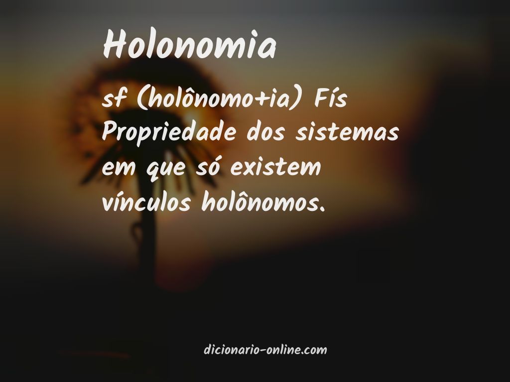 Significado de holonomia