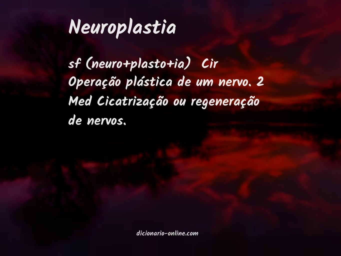 Significado de neuroplastia