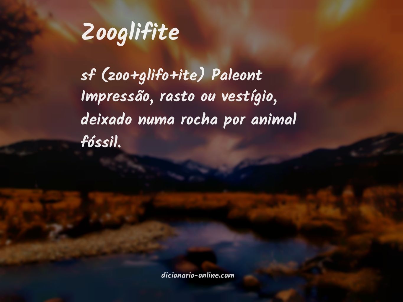 Significado de zooglifite