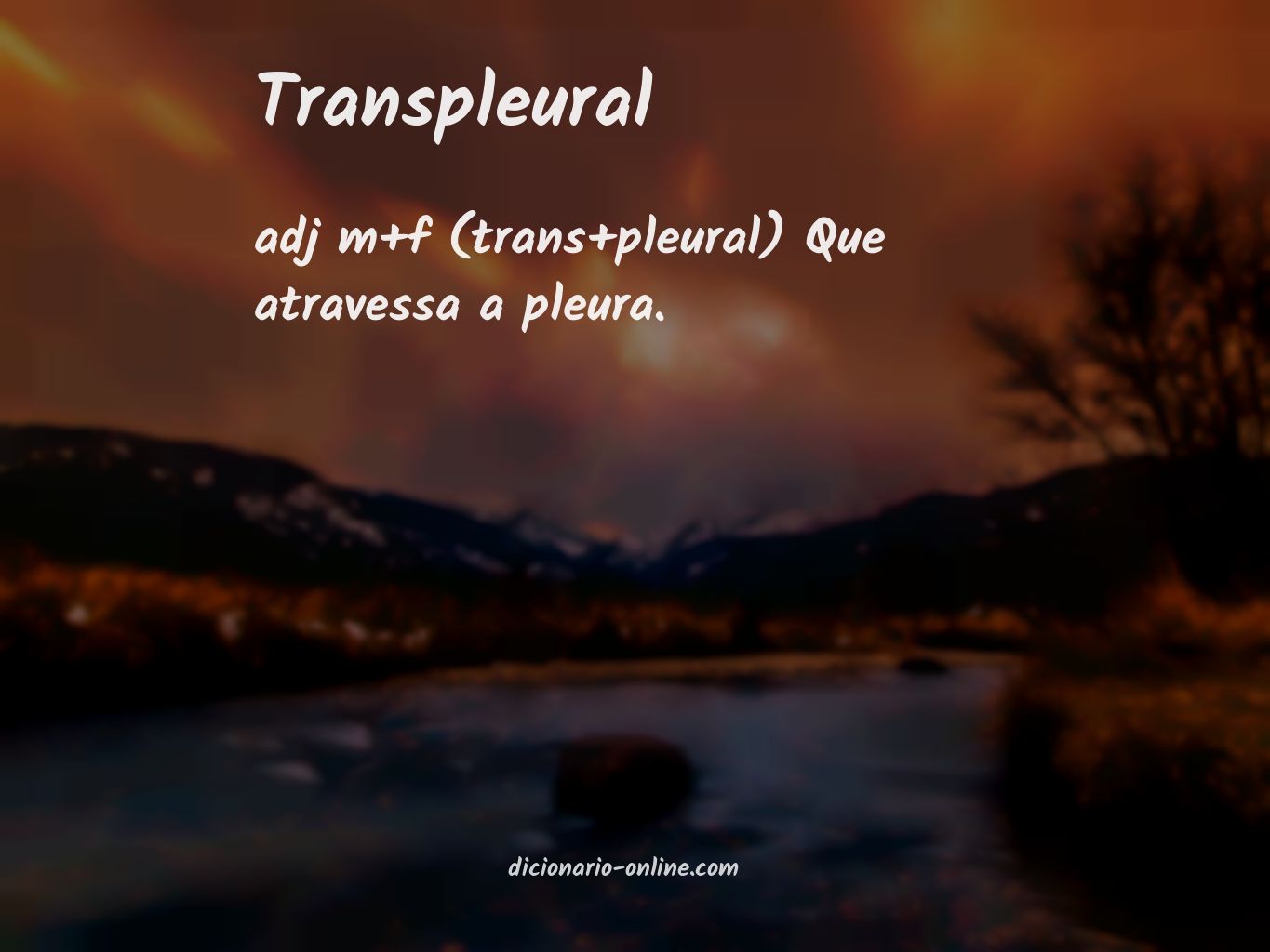 Significado de transpleural