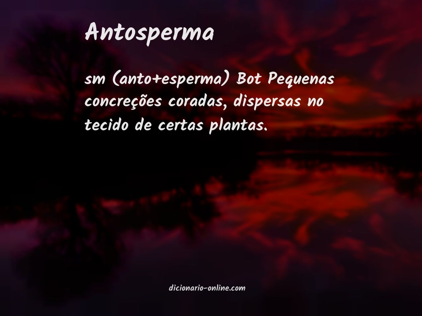 Significado de antosperma