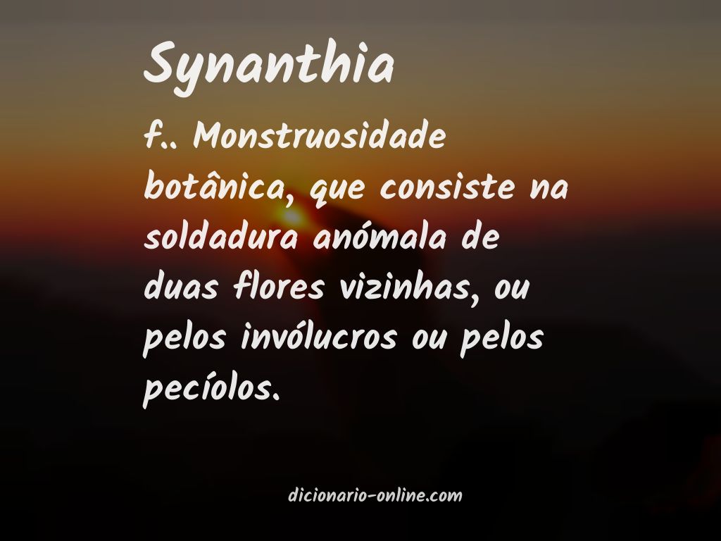 Significado de synanthia