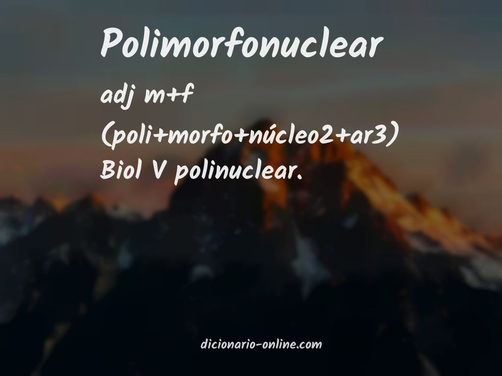 Significado de polimorfonuclear