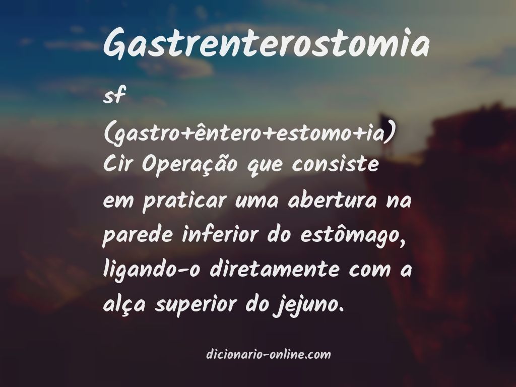Significado de gastrenterostomia