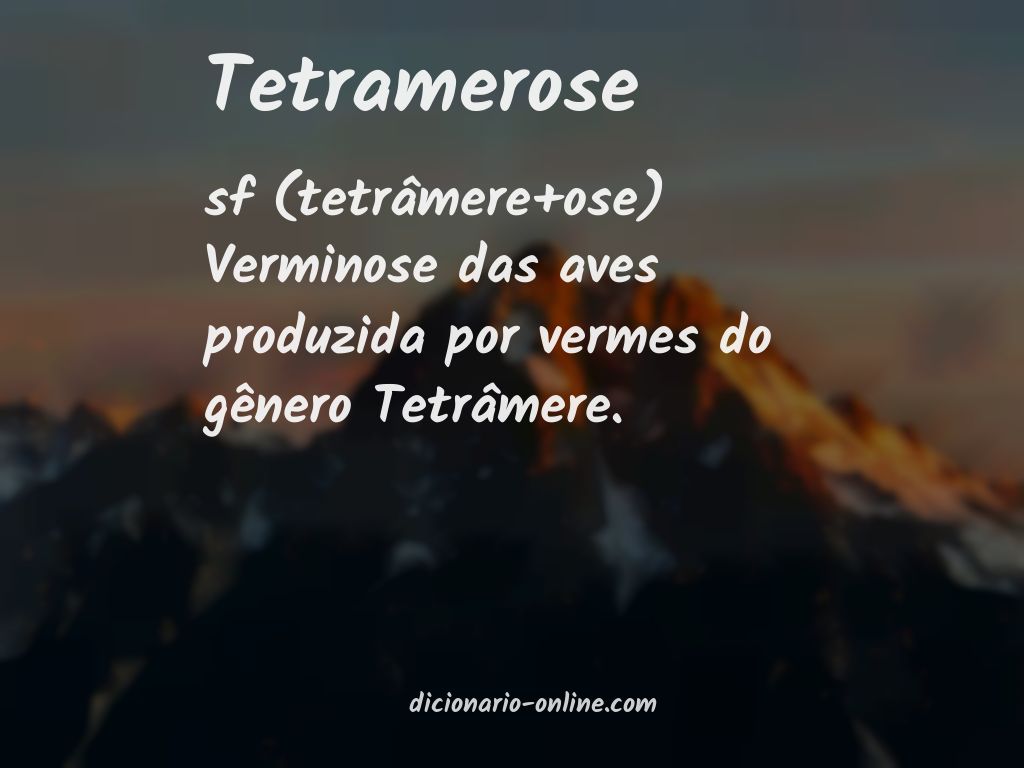 Significado de tetramerose
