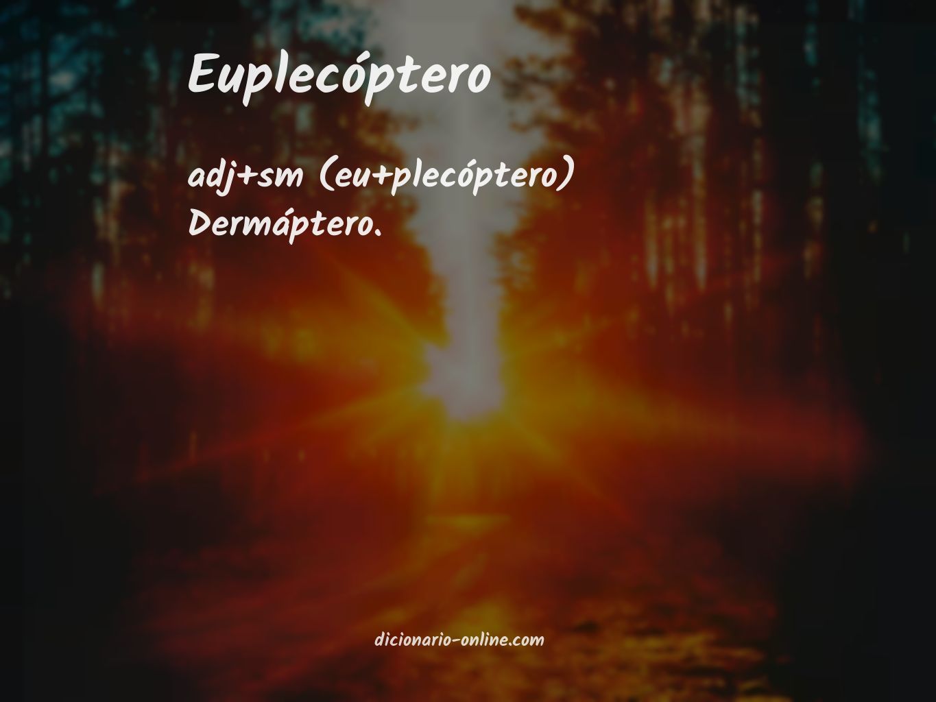 Significado de euplecóptero