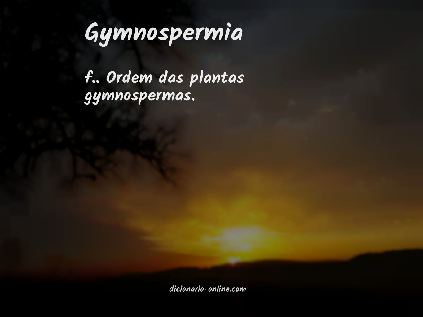 Significado de gymnospermia