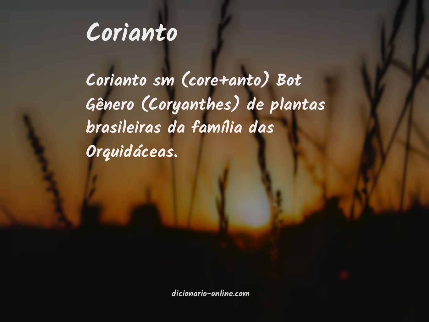 Significado de corianto