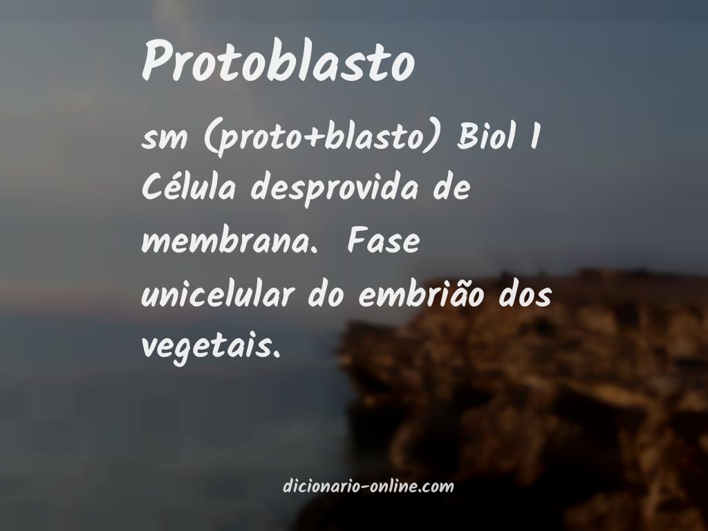 Significado de protoblasto