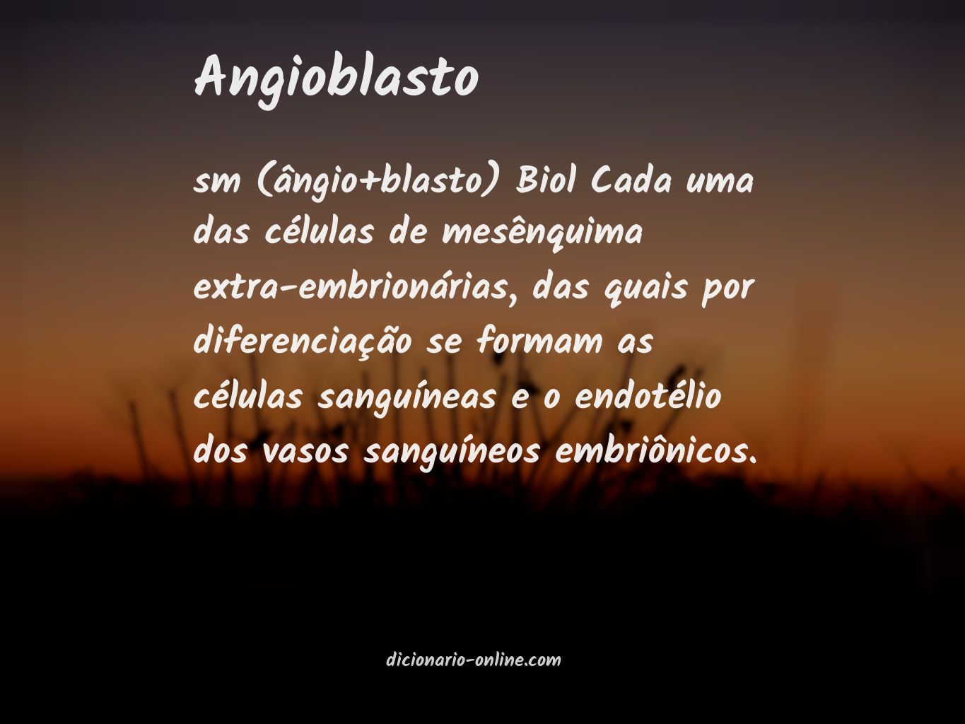 Significado de angioblasto