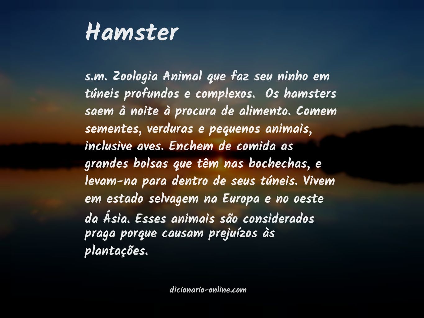 Significado de hamster
