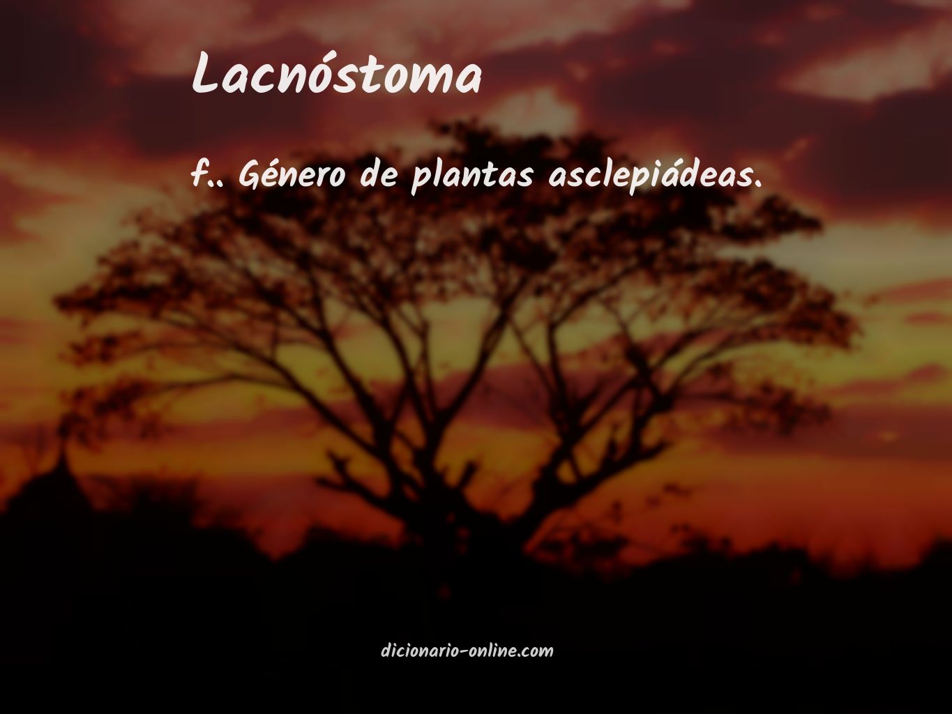 Significado de lacnóstoma
