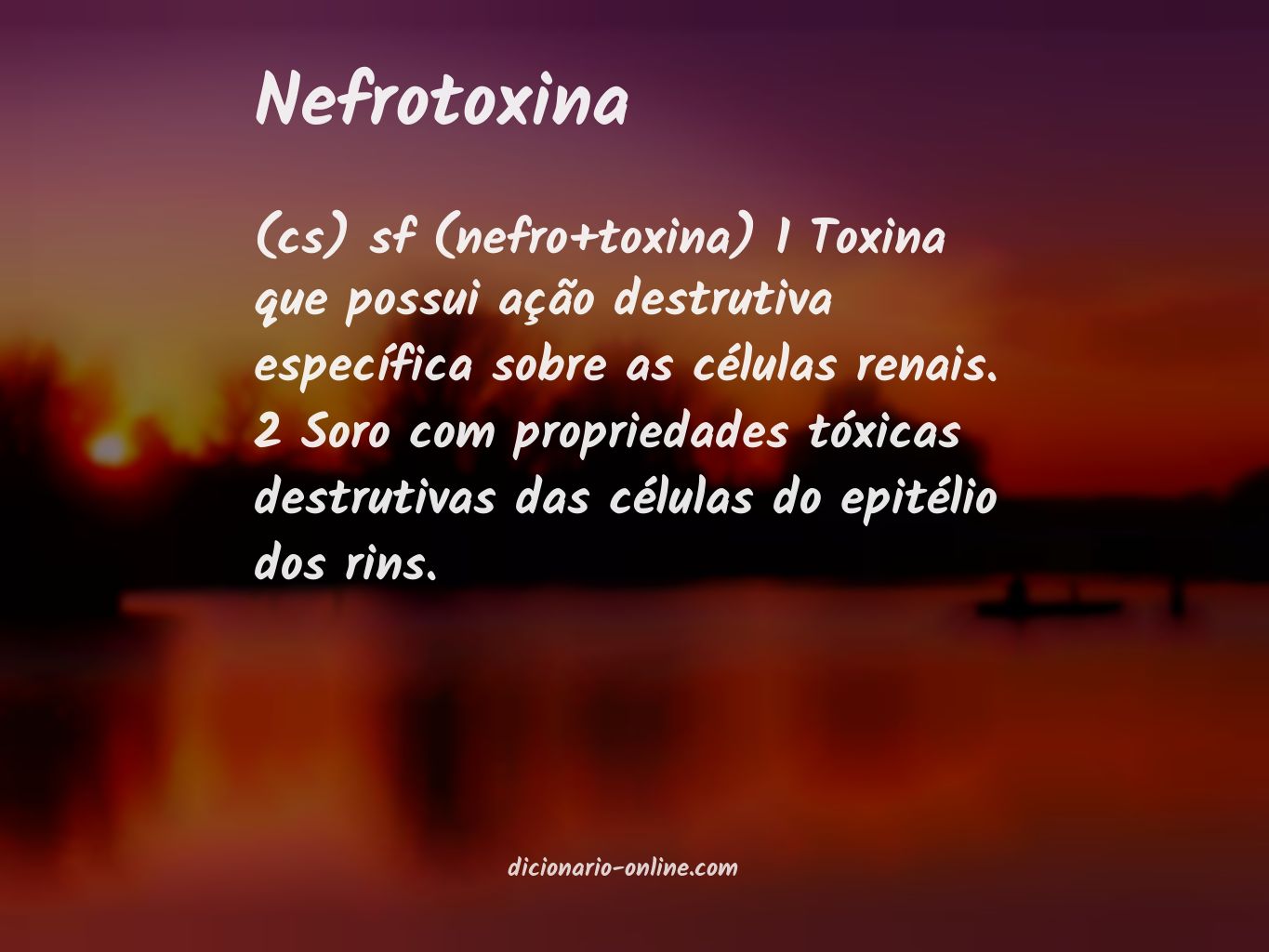 Significado de nefrotoxina