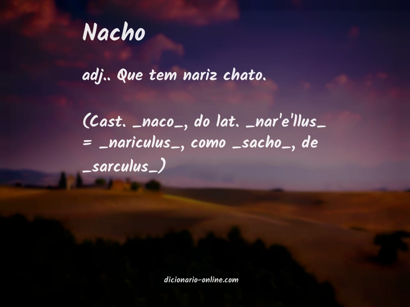 Significado de nacho