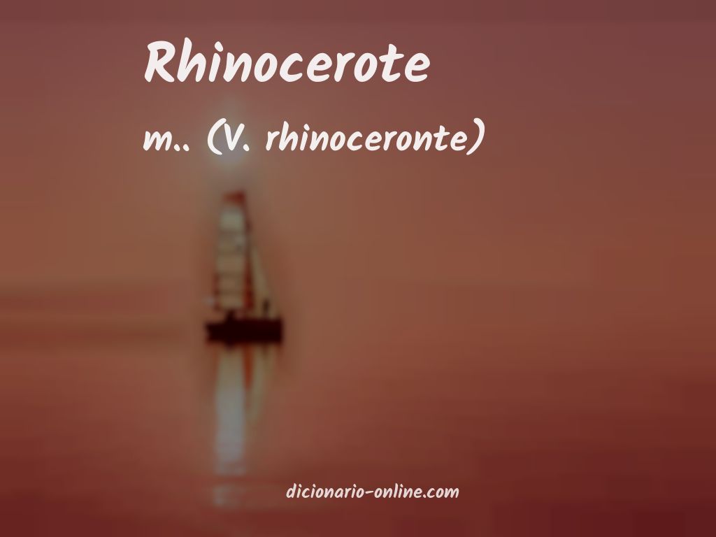 Significado de rhinocerote