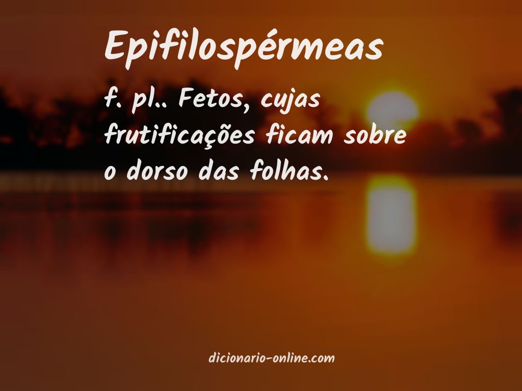 Significado de epifilospérmeas
