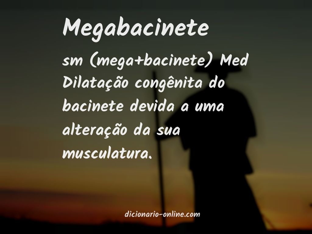 Significado de megabacinete