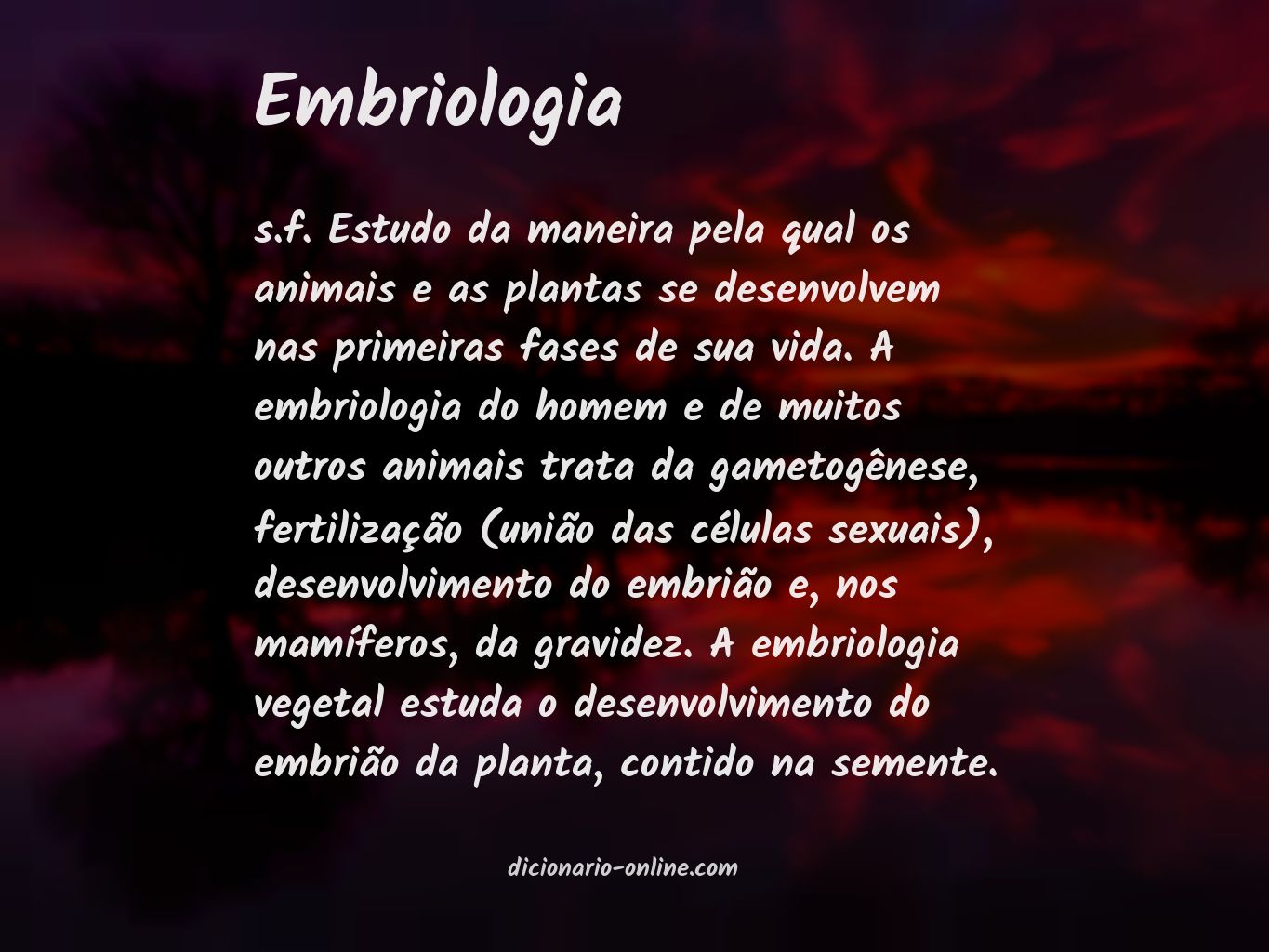 Significado de embriologia