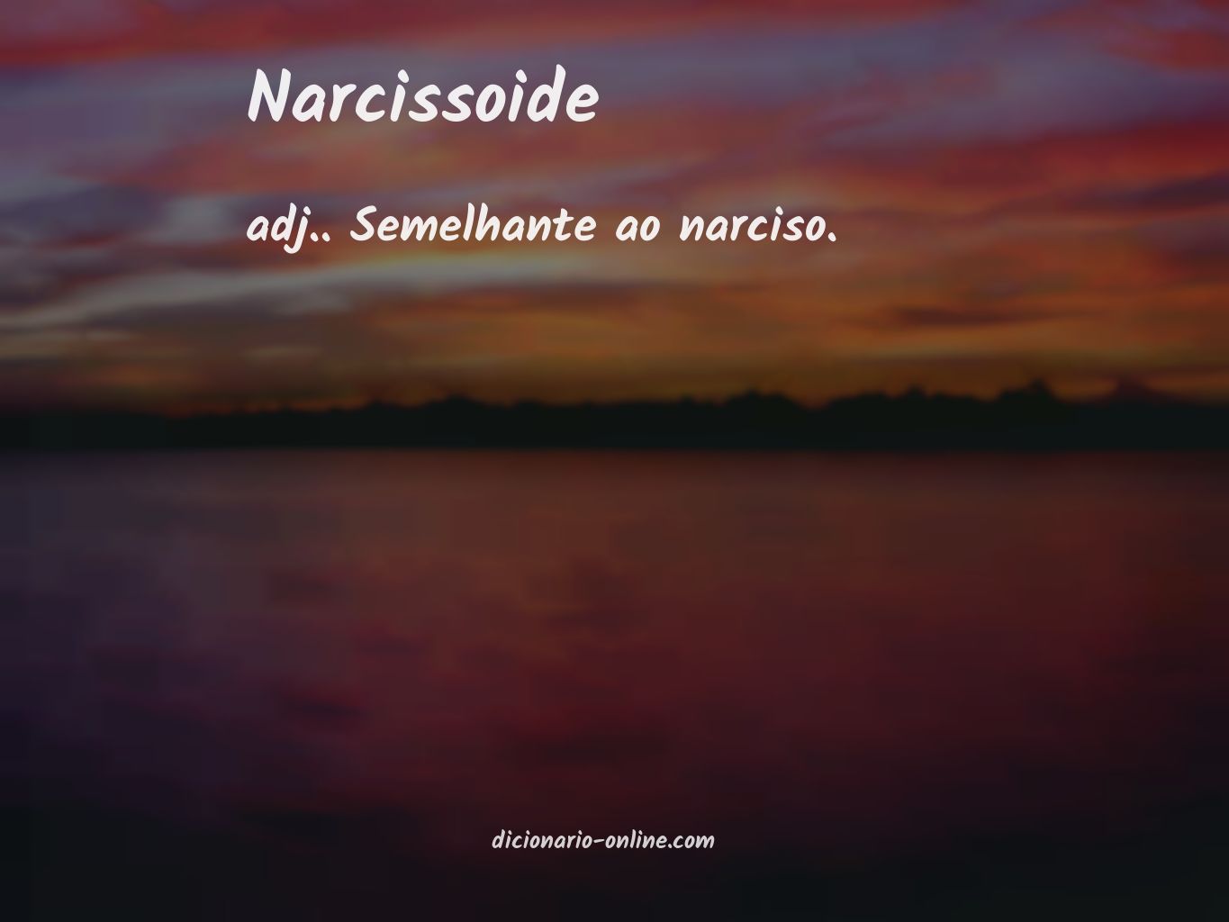 Significado de narcissoide