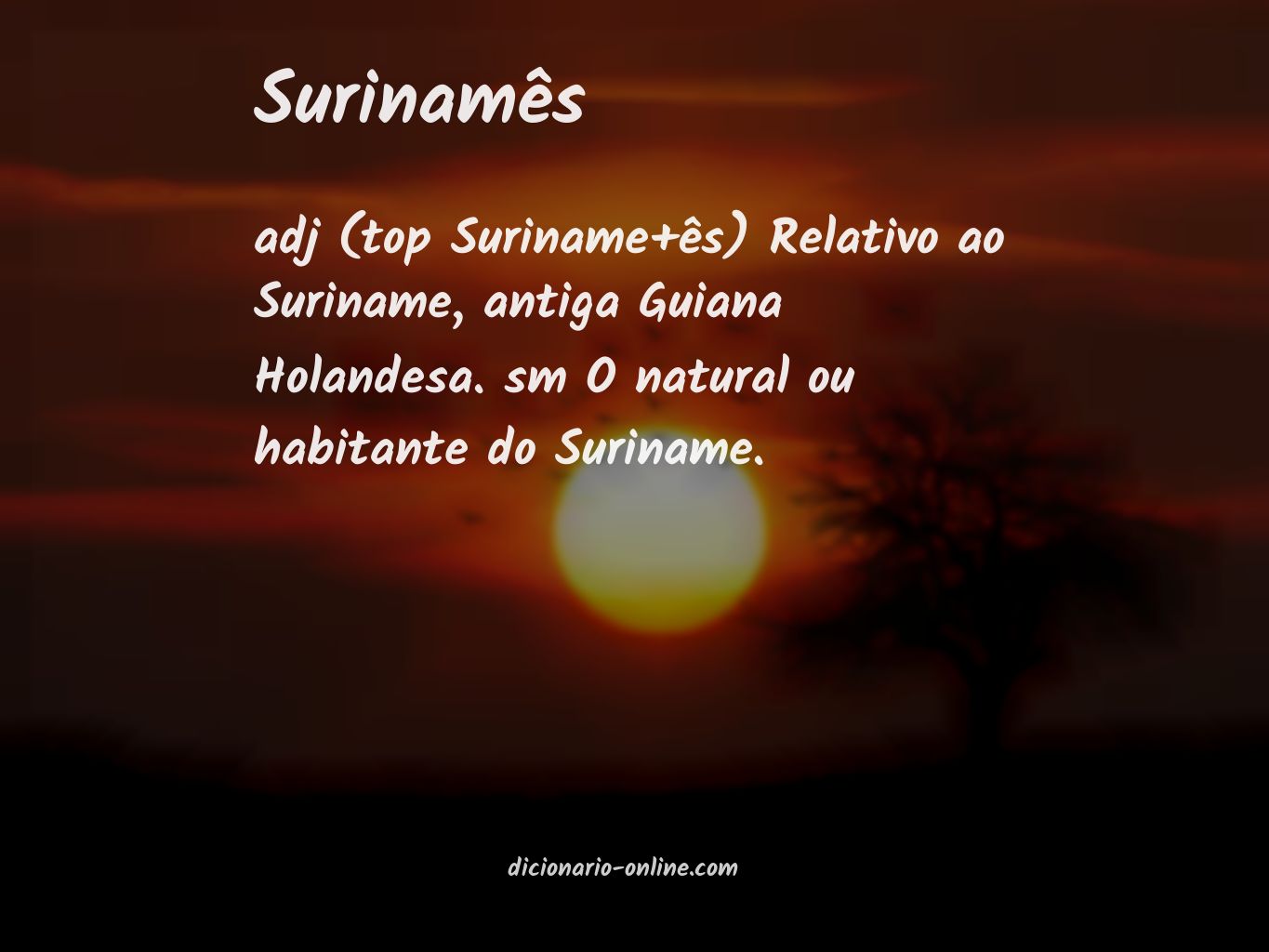 Significado de surinamês