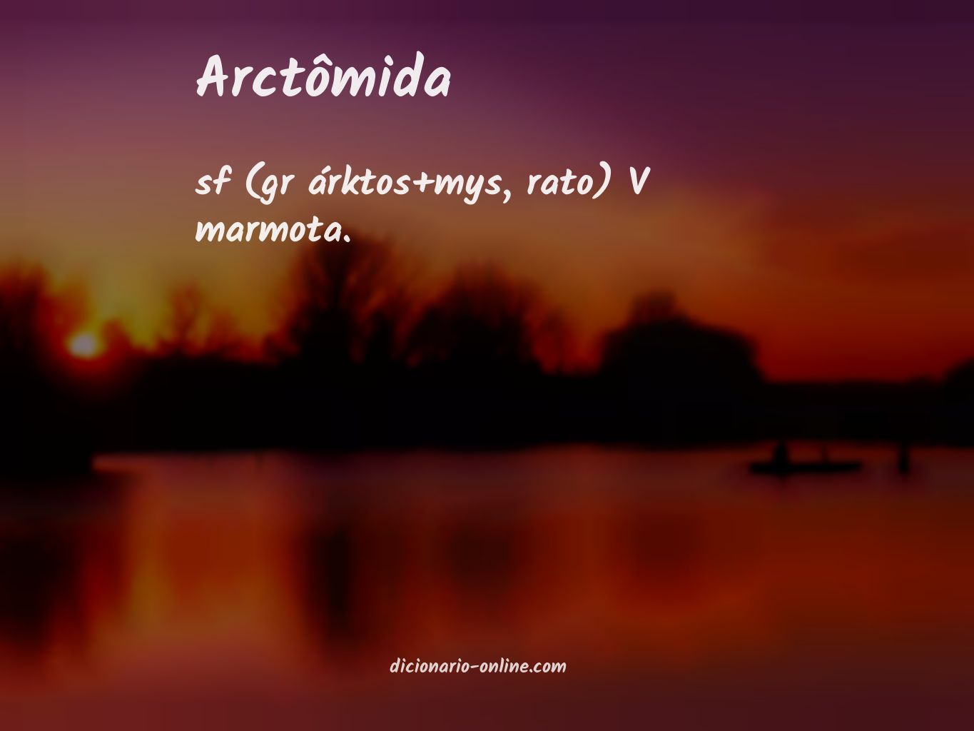 Significado de arctômida