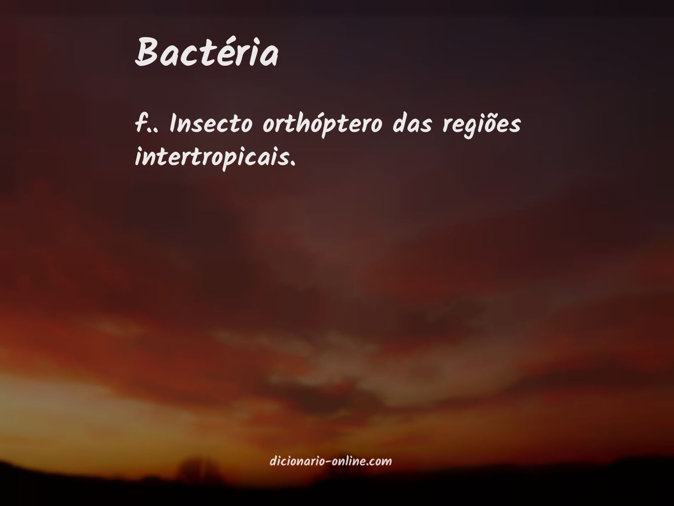 Significado de bactéria