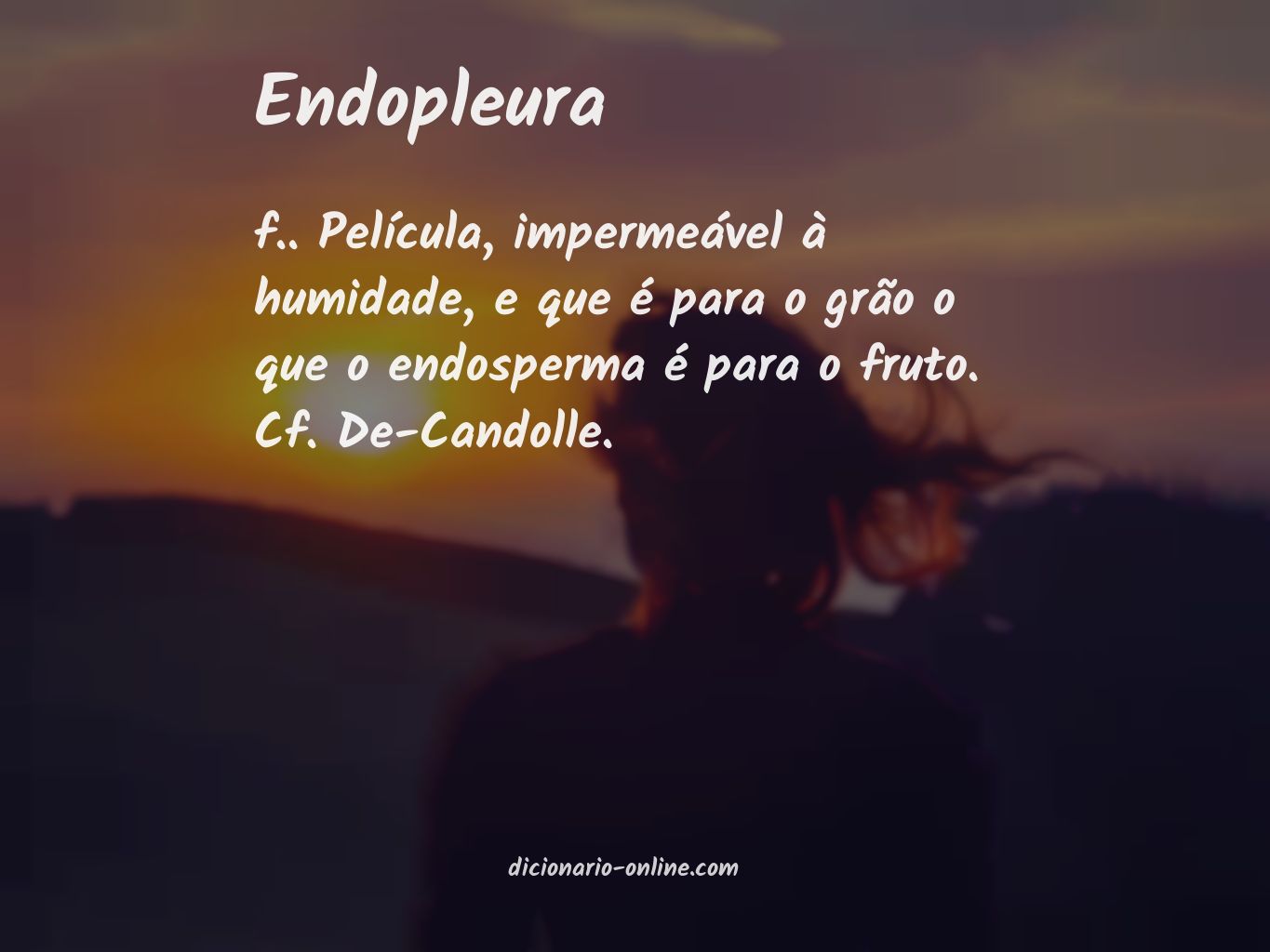 Significado de endopleura